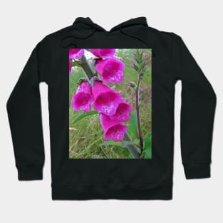 Foxglove (Digitalis) Hoodie